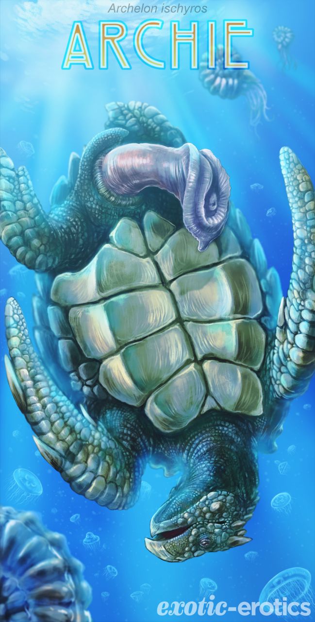 (image for) Archie the Ancient Sea Turtle Medium
