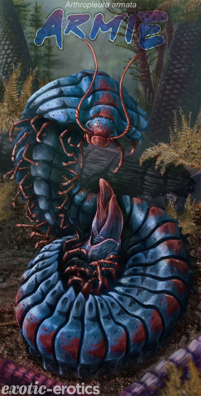 (image for) Armie the Giant Millipede Medium
