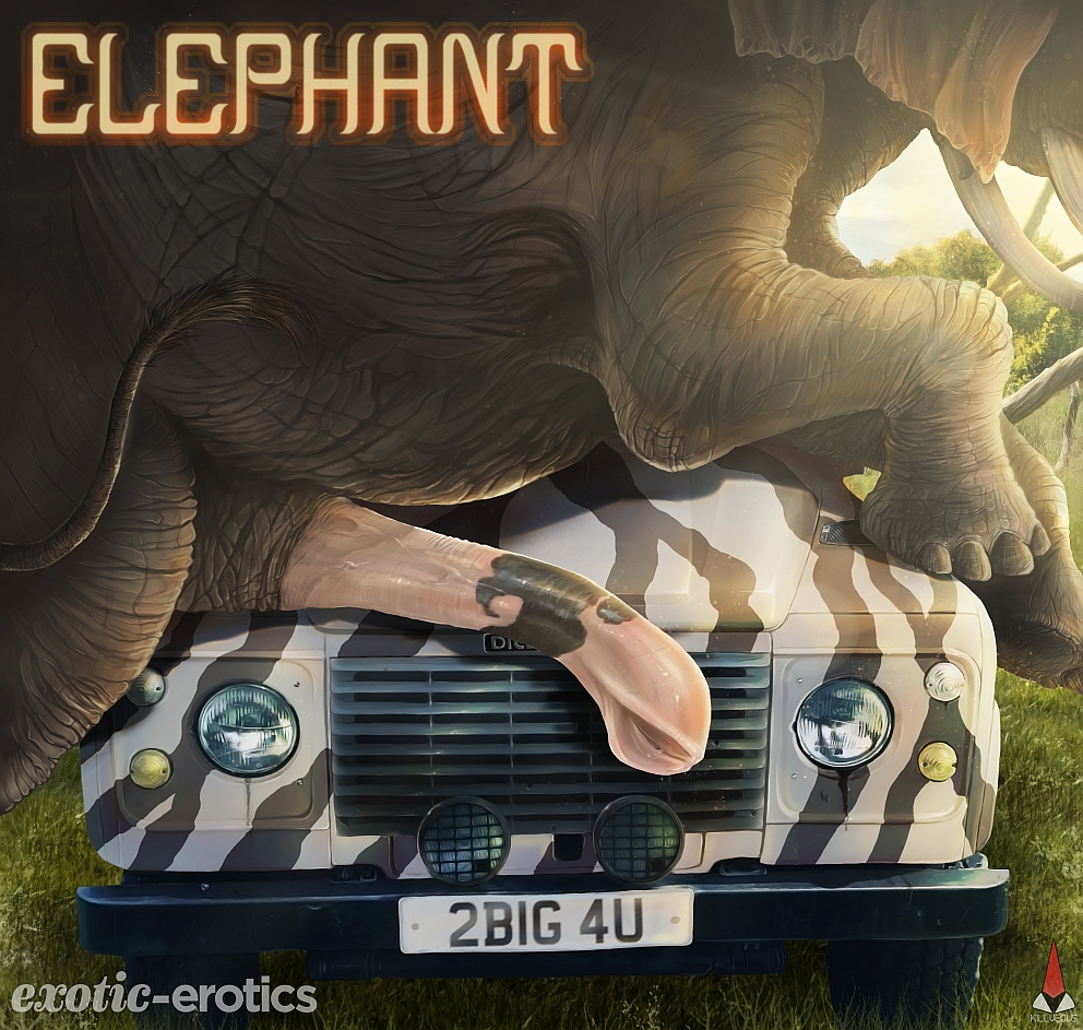 Elephant XL