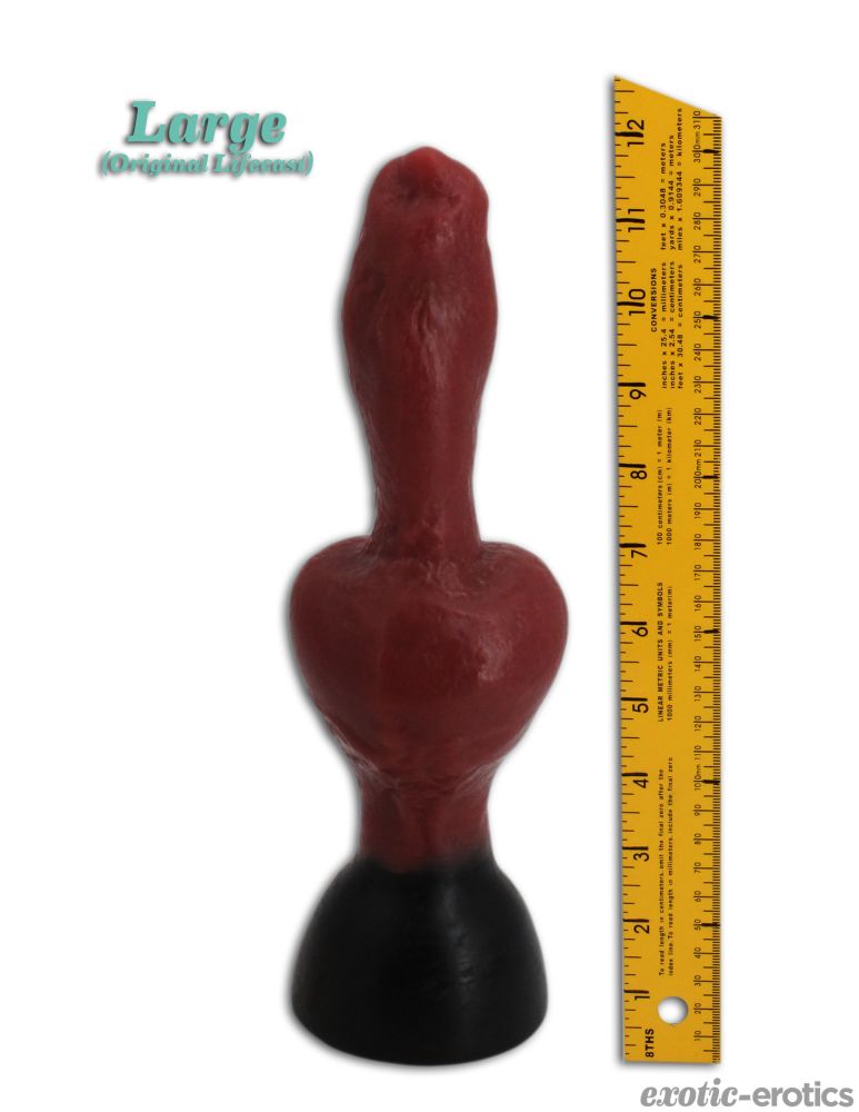 (image for) Moose - Click Image to Close