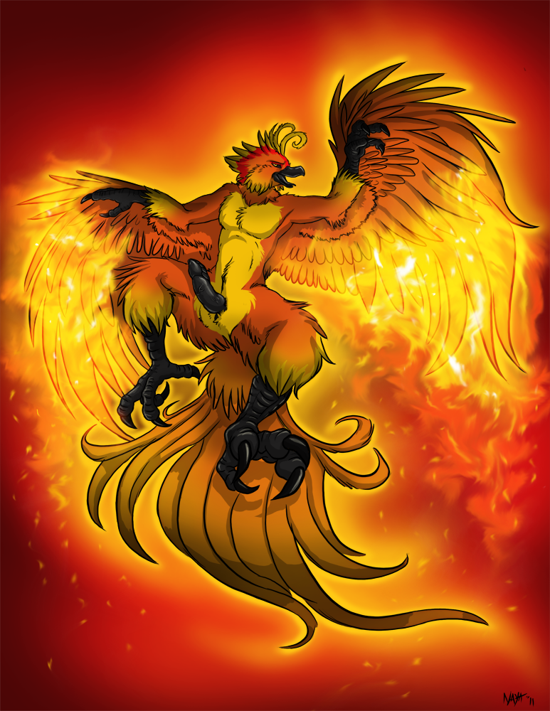 Phoenix Large